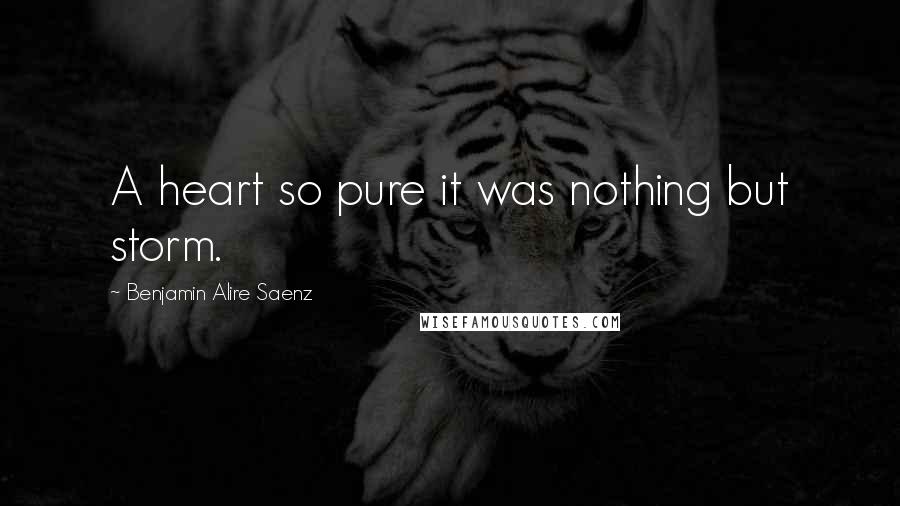 Benjamin Alire Saenz Quotes: A heart so pure it was nothing but storm.