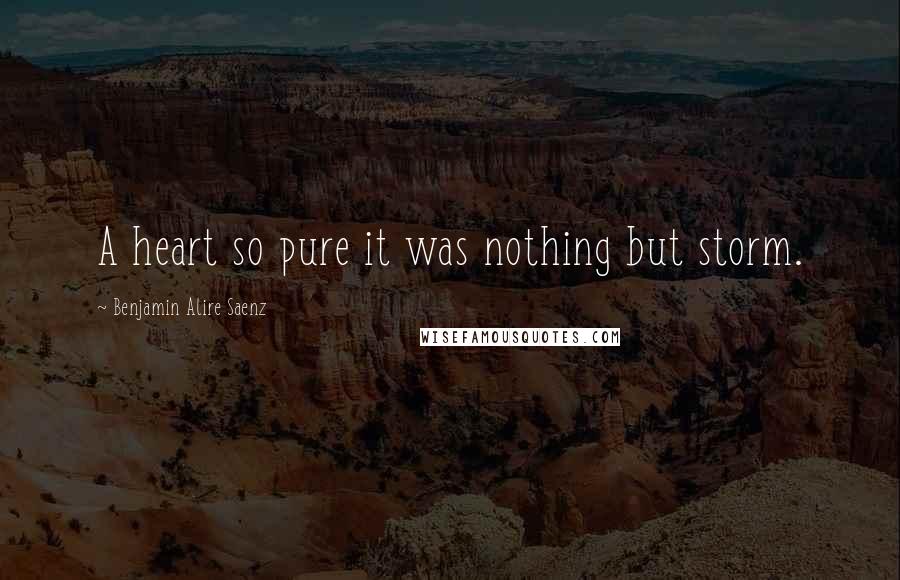 Benjamin Alire Saenz Quotes: A heart so pure it was nothing but storm.