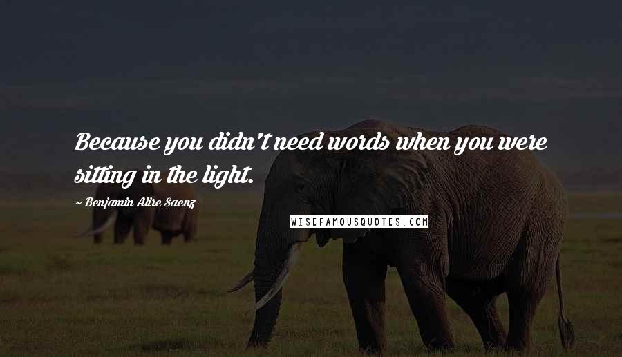 Benjamin Alire Saenz Quotes: Because you didn't need words when you were sitting in the light.