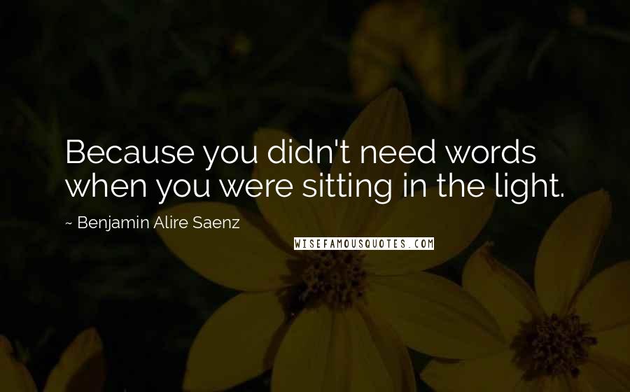 Benjamin Alire Saenz Quotes: Because you didn't need words when you were sitting in the light.