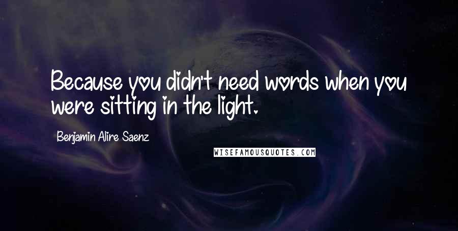 Benjamin Alire Saenz Quotes: Because you didn't need words when you were sitting in the light.