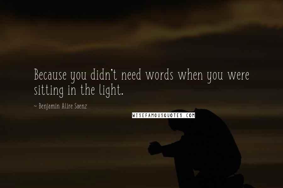 Benjamin Alire Saenz Quotes: Because you didn't need words when you were sitting in the light.