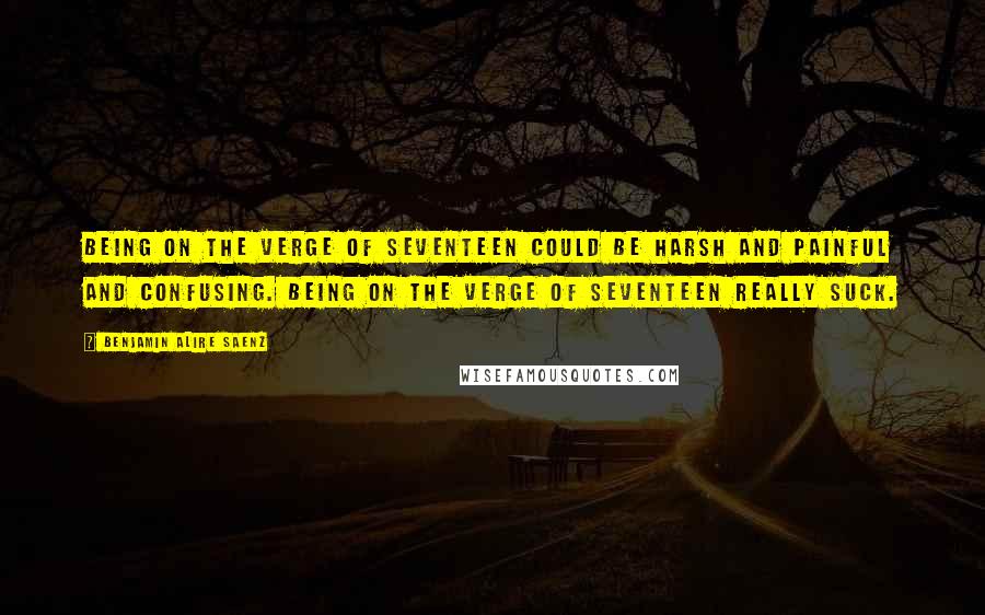 Benjamin Alire Saenz Quotes: Being on the verge of seventeen could be harsh and painful and confusing. Being on the verge of seventeen really suck.