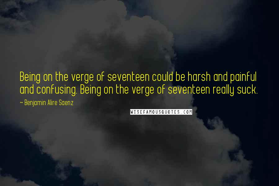 Benjamin Alire Saenz Quotes: Being on the verge of seventeen could be harsh and painful and confusing. Being on the verge of seventeen really suck.