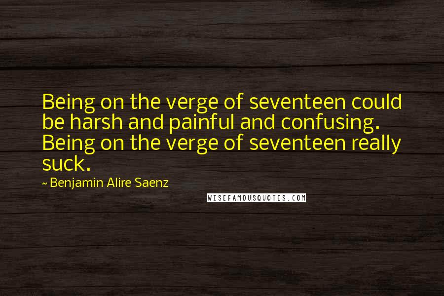 Benjamin Alire Saenz Quotes: Being on the verge of seventeen could be harsh and painful and confusing. Being on the verge of seventeen really suck.