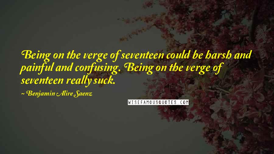 Benjamin Alire Saenz Quotes: Being on the verge of seventeen could be harsh and painful and confusing. Being on the verge of seventeen really suck.