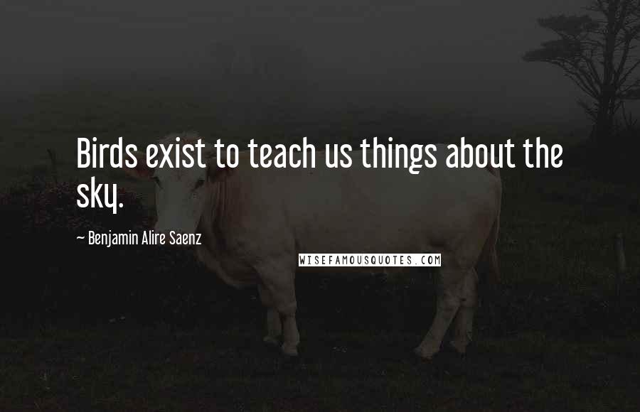 Benjamin Alire Saenz Quotes: Birds exist to teach us things about the sky.