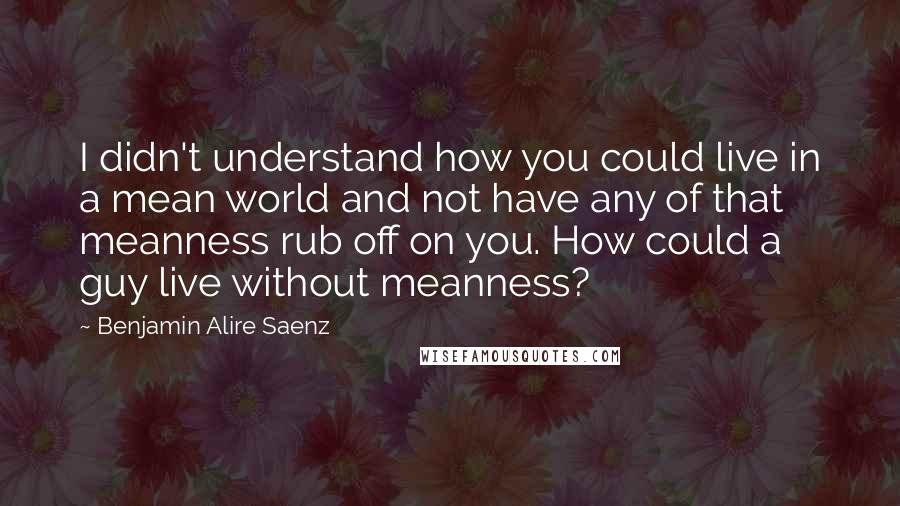 Benjamin Alire Saenz Quotes: I didn't understand how you could live in a mean world and not have any of that meanness rub off on you. How could a guy live without meanness?