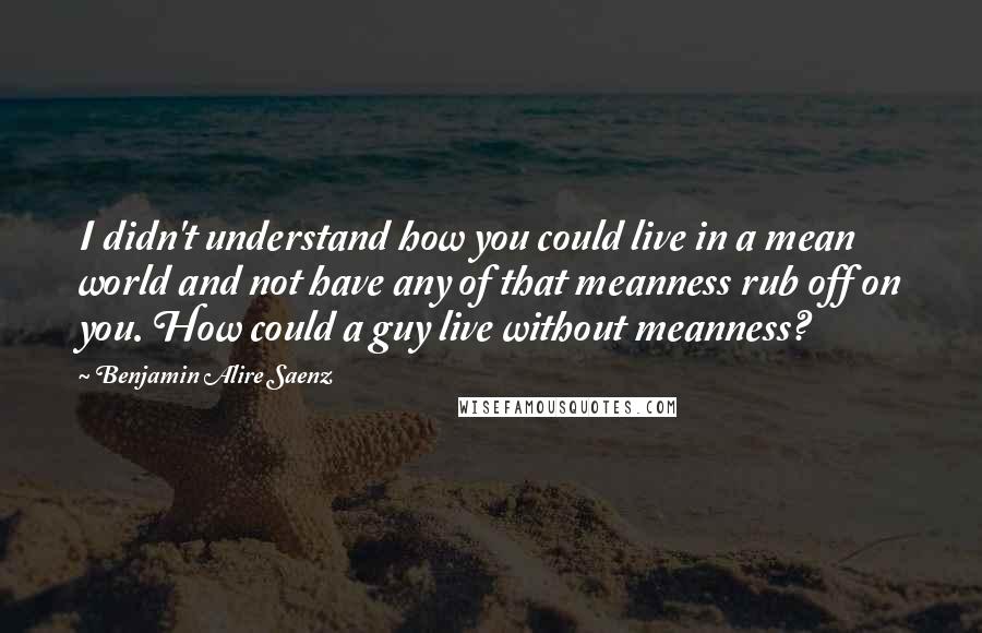 Benjamin Alire Saenz Quotes: I didn't understand how you could live in a mean world and not have any of that meanness rub off on you. How could a guy live without meanness?