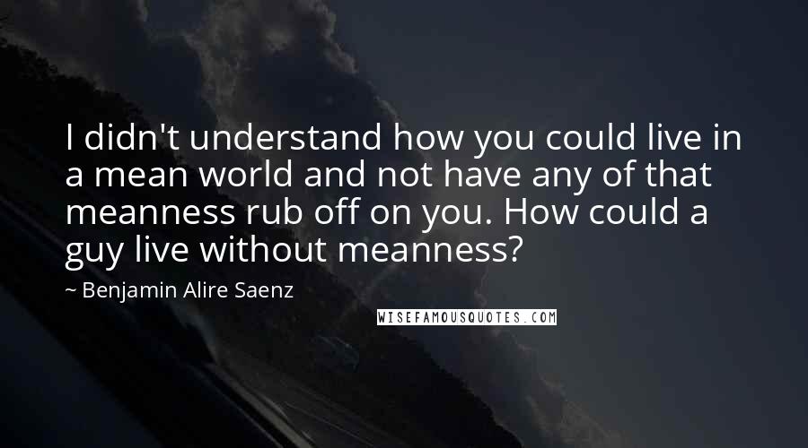 Benjamin Alire Saenz Quotes: I didn't understand how you could live in a mean world and not have any of that meanness rub off on you. How could a guy live without meanness?