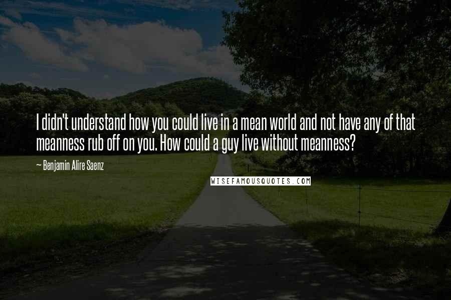 Benjamin Alire Saenz Quotes: I didn't understand how you could live in a mean world and not have any of that meanness rub off on you. How could a guy live without meanness?