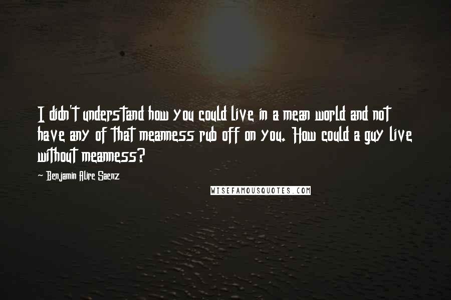 Benjamin Alire Saenz Quotes: I didn't understand how you could live in a mean world and not have any of that meanness rub off on you. How could a guy live without meanness?