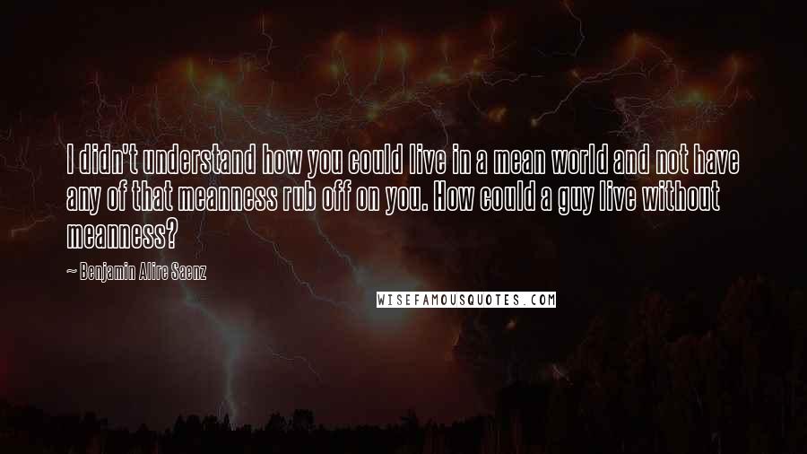 Benjamin Alire Saenz Quotes: I didn't understand how you could live in a mean world and not have any of that meanness rub off on you. How could a guy live without meanness?