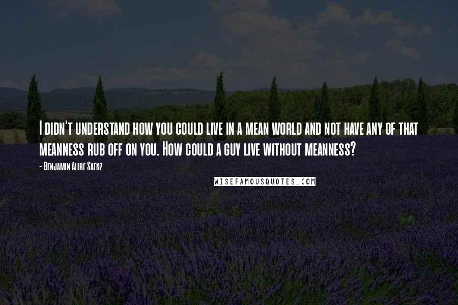 Benjamin Alire Saenz Quotes: I didn't understand how you could live in a mean world and not have any of that meanness rub off on you. How could a guy live without meanness?