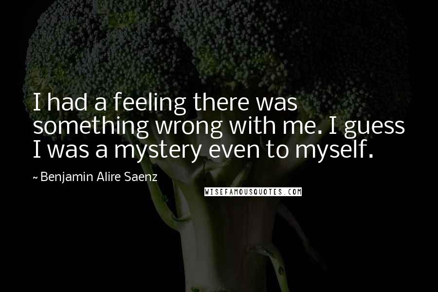 Benjamin Alire Saenz Quotes: I had a feeling there was something wrong with me. I guess I was a mystery even to myself.