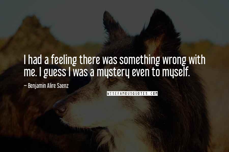 Benjamin Alire Saenz Quotes: I had a feeling there was something wrong with me. I guess I was a mystery even to myself.