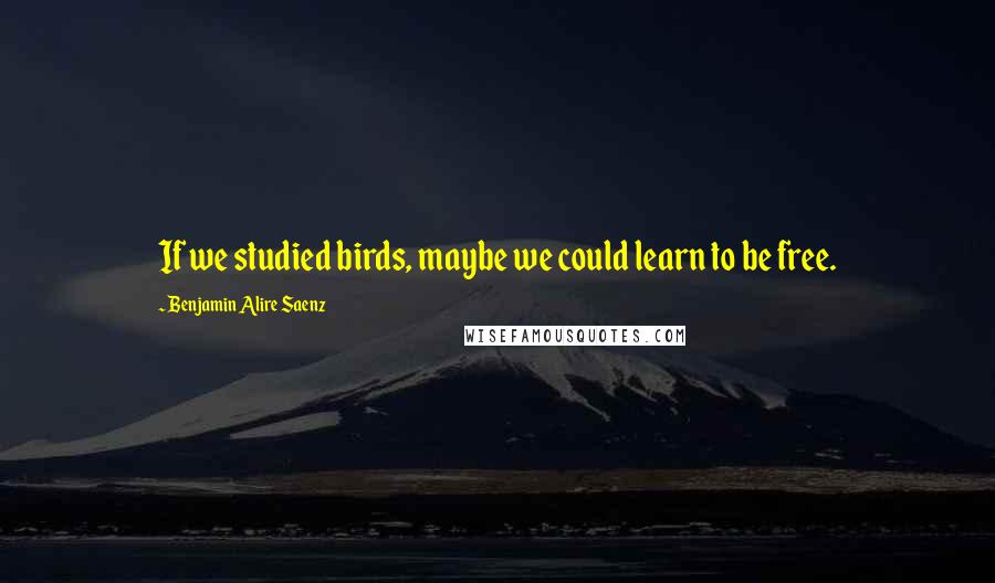Benjamin Alire Saenz Quotes: If we studied birds, maybe we could learn to be free.