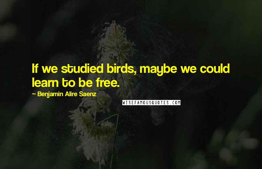 Benjamin Alire Saenz Quotes: If we studied birds, maybe we could learn to be free.