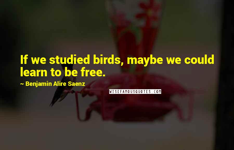 Benjamin Alire Saenz Quotes: If we studied birds, maybe we could learn to be free.