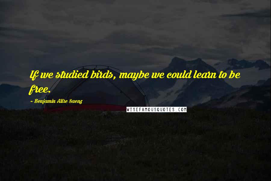 Benjamin Alire Saenz Quotes: If we studied birds, maybe we could learn to be free.