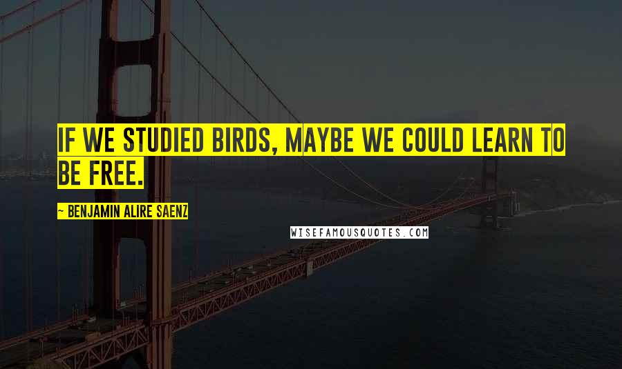 Benjamin Alire Saenz Quotes: If we studied birds, maybe we could learn to be free.