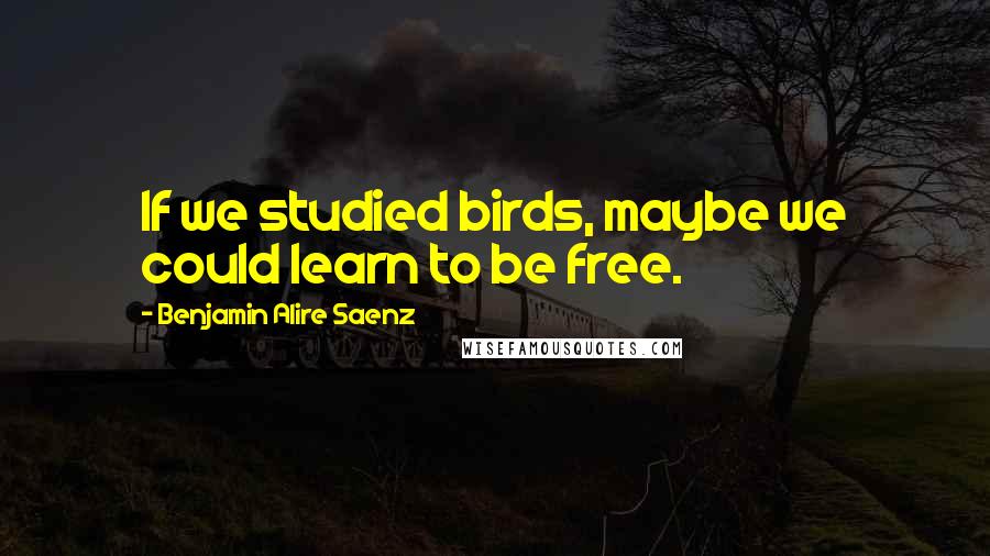 Benjamin Alire Saenz Quotes: If we studied birds, maybe we could learn to be free.