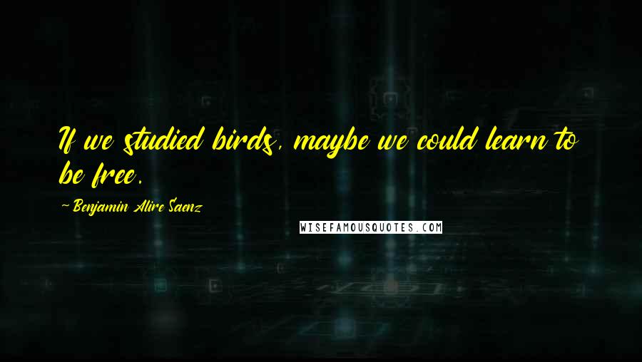 Benjamin Alire Saenz Quotes: If we studied birds, maybe we could learn to be free.
