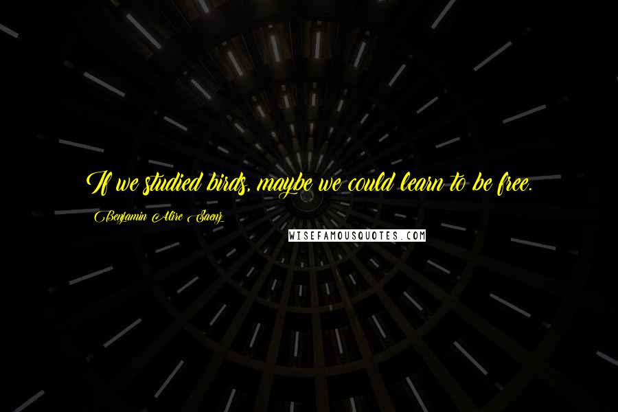 Benjamin Alire Saenz Quotes: If we studied birds, maybe we could learn to be free.