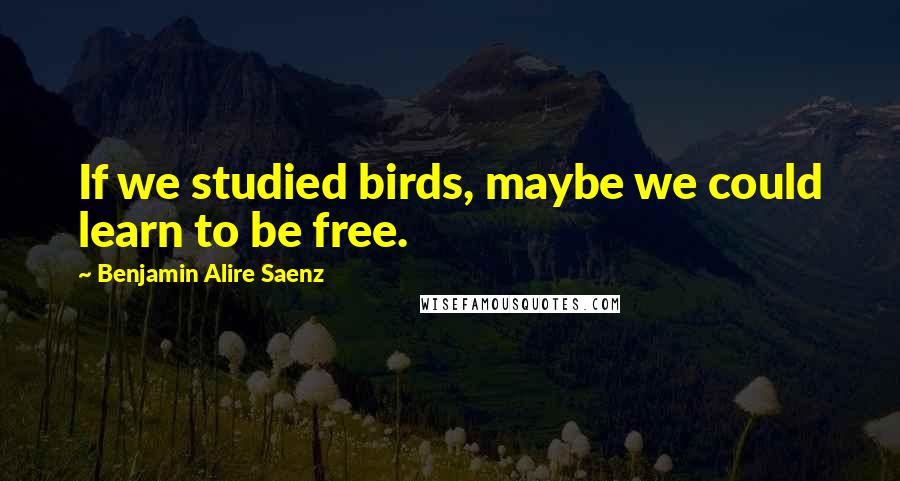Benjamin Alire Saenz Quotes: If we studied birds, maybe we could learn to be free.
