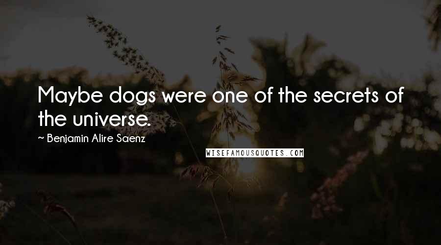 Benjamin Alire Saenz Quotes: Maybe dogs were one of the secrets of the universe.
