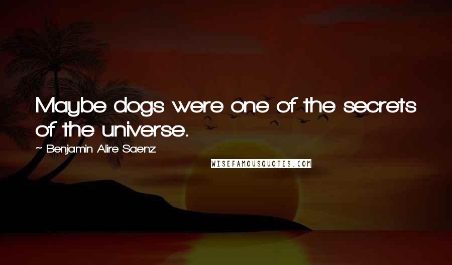 Benjamin Alire Saenz Quotes: Maybe dogs were one of the secrets of the universe.