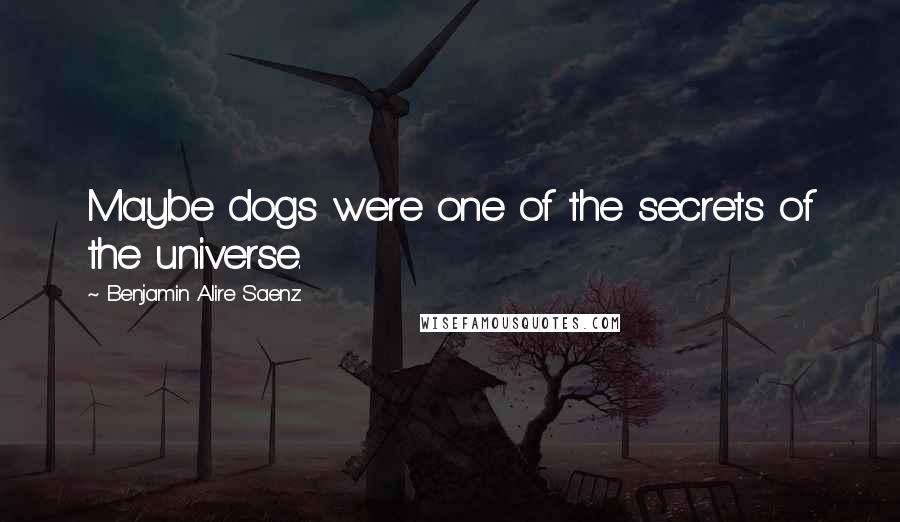 Benjamin Alire Saenz Quotes: Maybe dogs were one of the secrets of the universe.