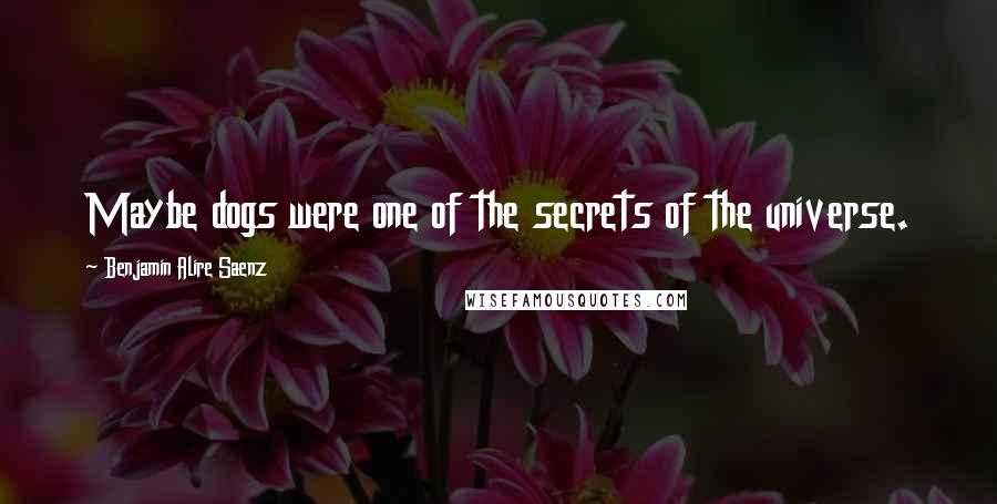 Benjamin Alire Saenz Quotes: Maybe dogs were one of the secrets of the universe.