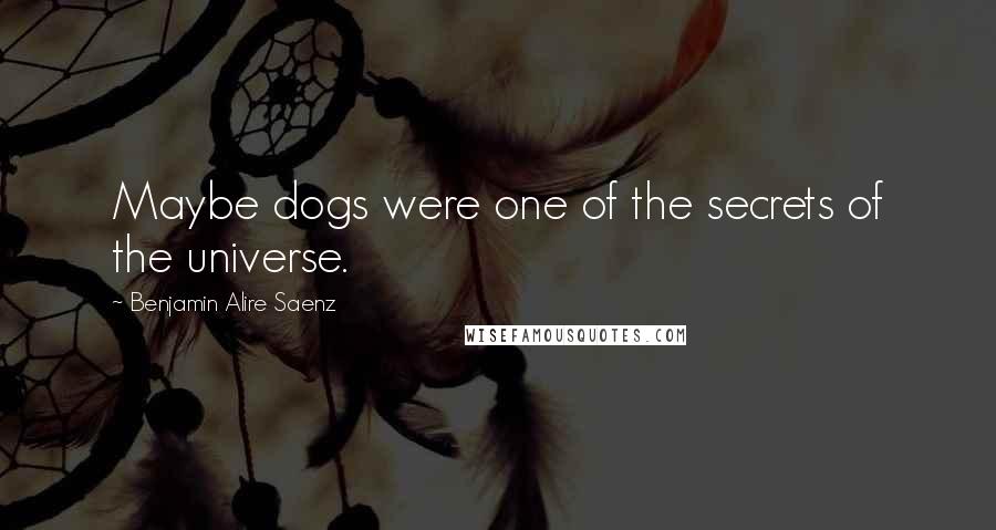 Benjamin Alire Saenz Quotes: Maybe dogs were one of the secrets of the universe.