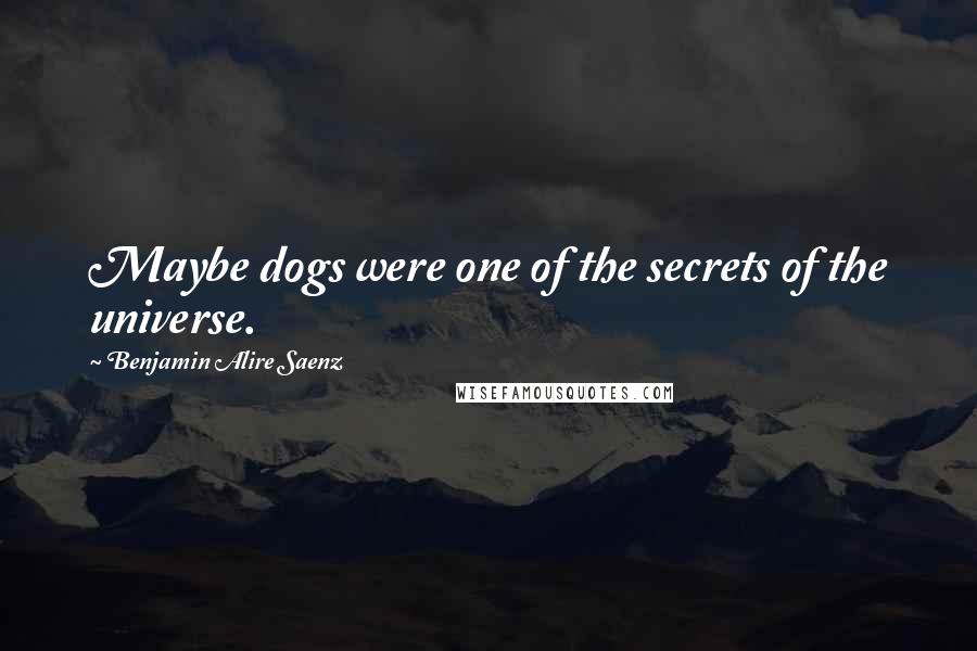 Benjamin Alire Saenz Quotes: Maybe dogs were one of the secrets of the universe.