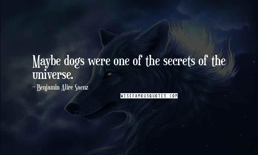 Benjamin Alire Saenz Quotes: Maybe dogs were one of the secrets of the universe.