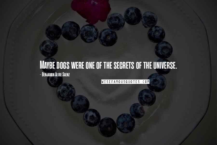 Benjamin Alire Saenz Quotes: Maybe dogs were one of the secrets of the universe.