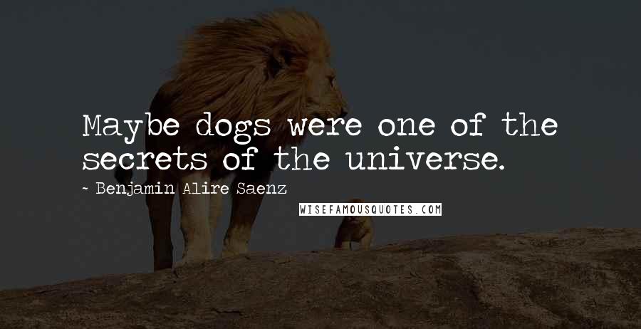 Benjamin Alire Saenz Quotes: Maybe dogs were one of the secrets of the universe.