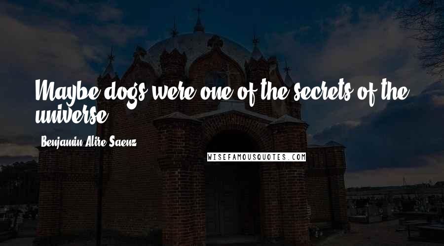 Benjamin Alire Saenz Quotes: Maybe dogs were one of the secrets of the universe.