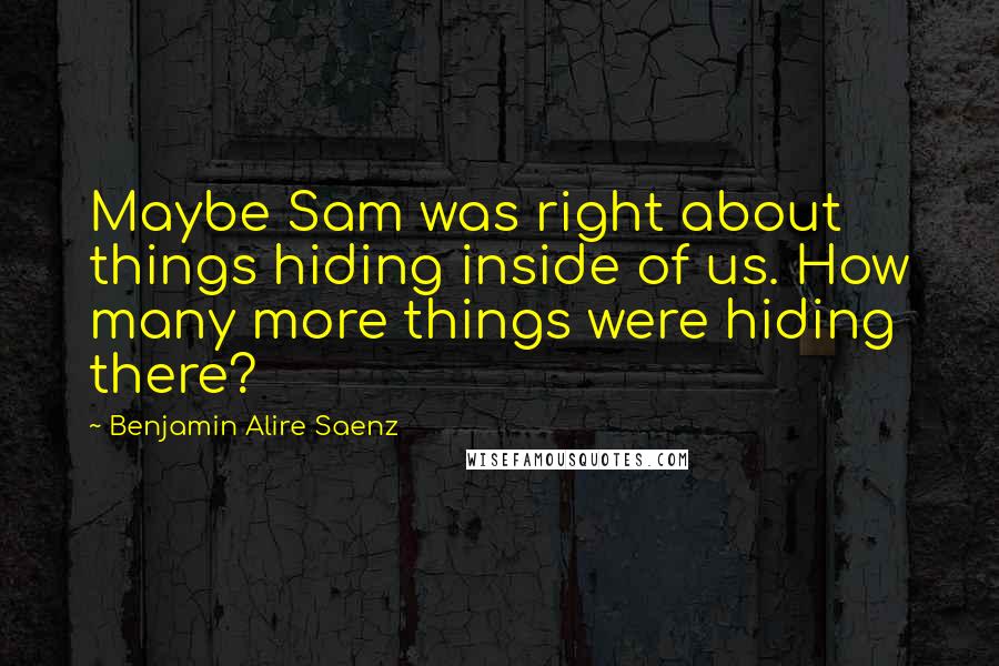 Benjamin Alire Saenz Quotes: Maybe Sam was right about things hiding inside of us. How many more things were hiding there?
