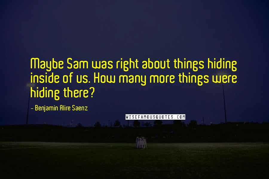 Benjamin Alire Saenz Quotes: Maybe Sam was right about things hiding inside of us. How many more things were hiding there?