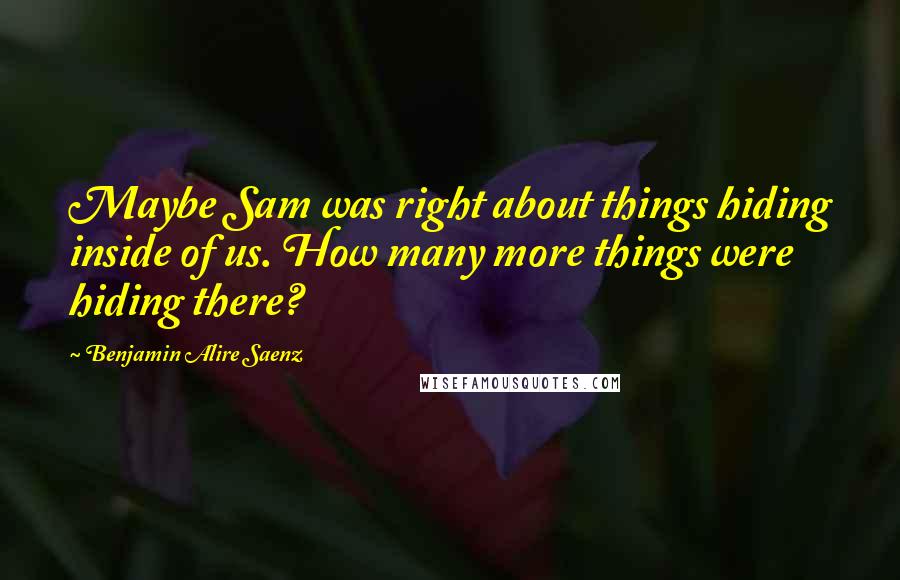 Benjamin Alire Saenz Quotes: Maybe Sam was right about things hiding inside of us. How many more things were hiding there?