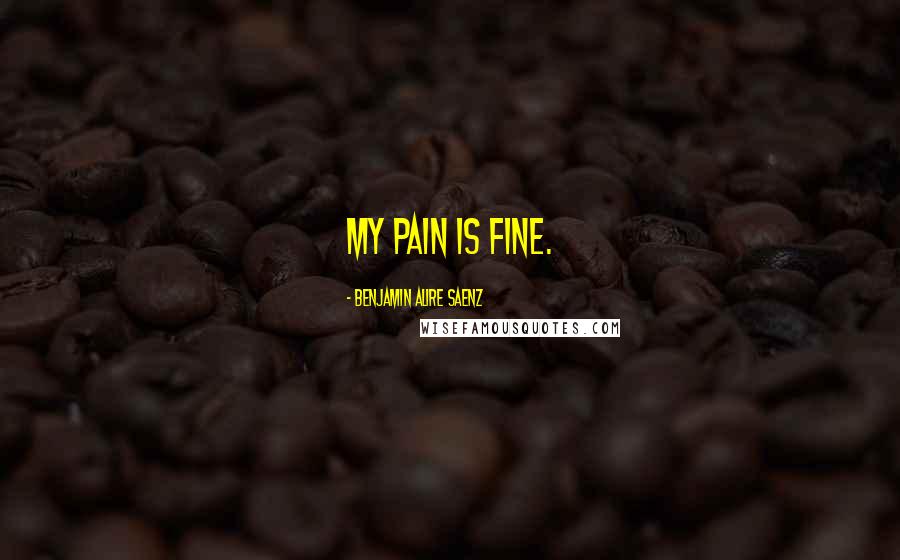 Benjamin Alire Saenz Quotes: My pain is fine.