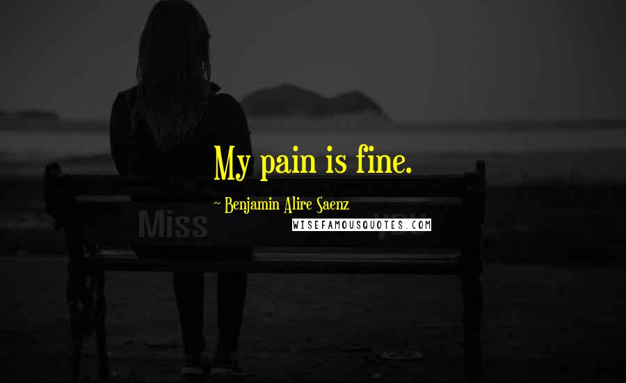 Benjamin Alire Saenz Quotes: My pain is fine.