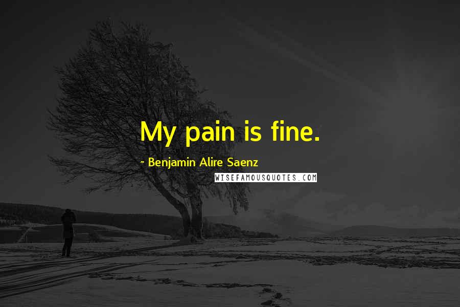 Benjamin Alire Saenz Quotes: My pain is fine.