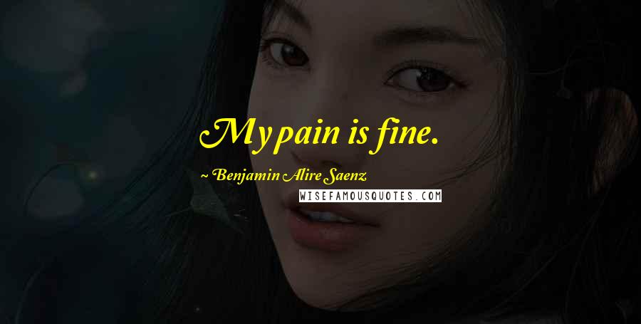 Benjamin Alire Saenz Quotes: My pain is fine.