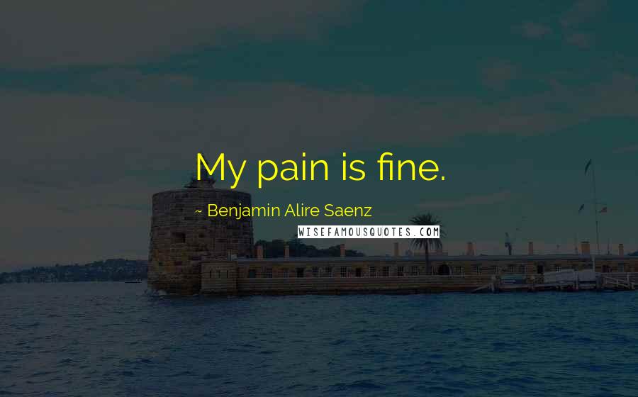 Benjamin Alire Saenz Quotes: My pain is fine.