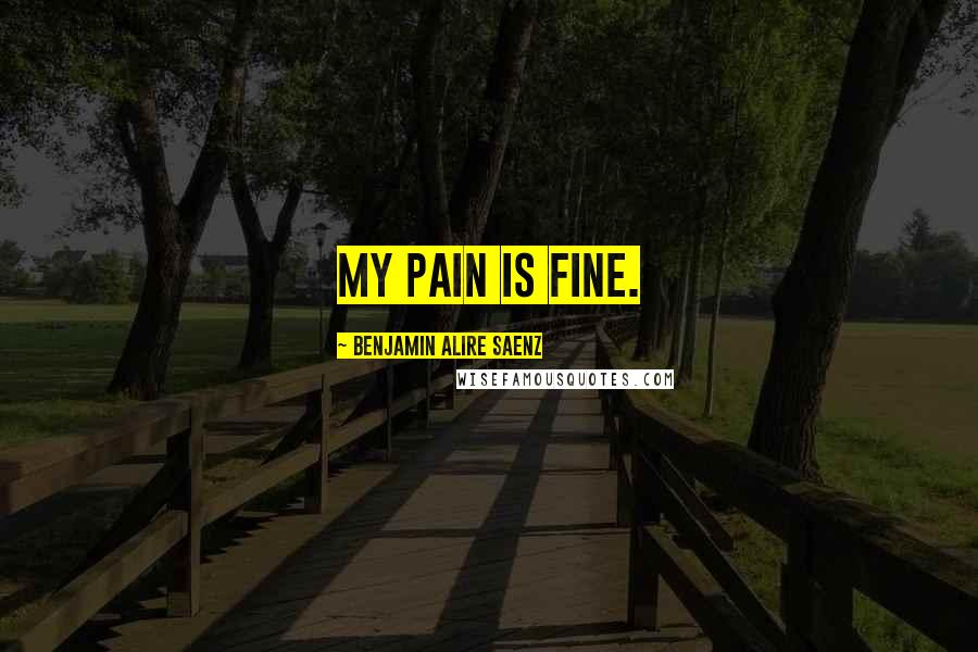 Benjamin Alire Saenz Quotes: My pain is fine.
