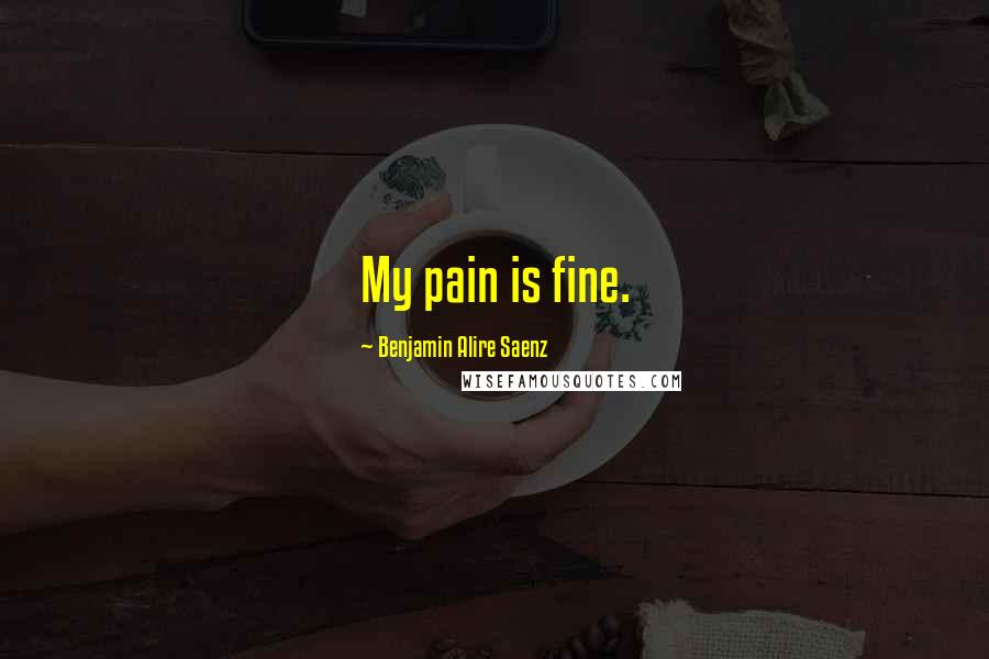 Benjamin Alire Saenz Quotes: My pain is fine.