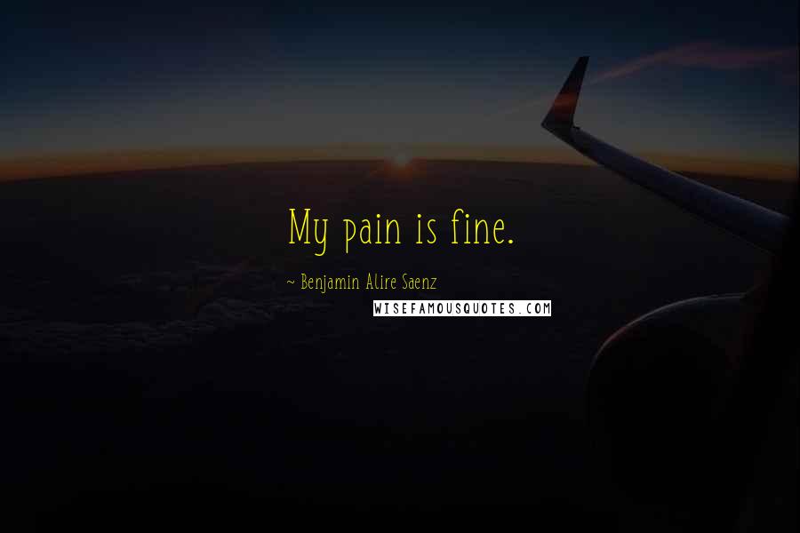 Benjamin Alire Saenz Quotes: My pain is fine.